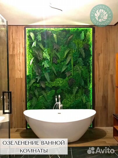 Мох стабилизированный оптом и в розницу