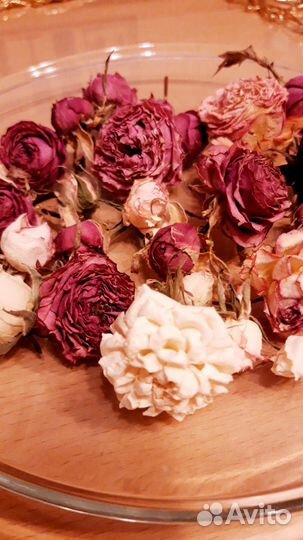 Сухие цветы для творчества и дизайна