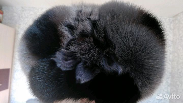 Шапка-берет из норки