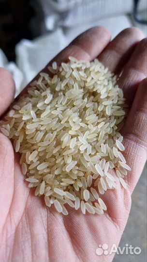 Рис для животных во Владимире