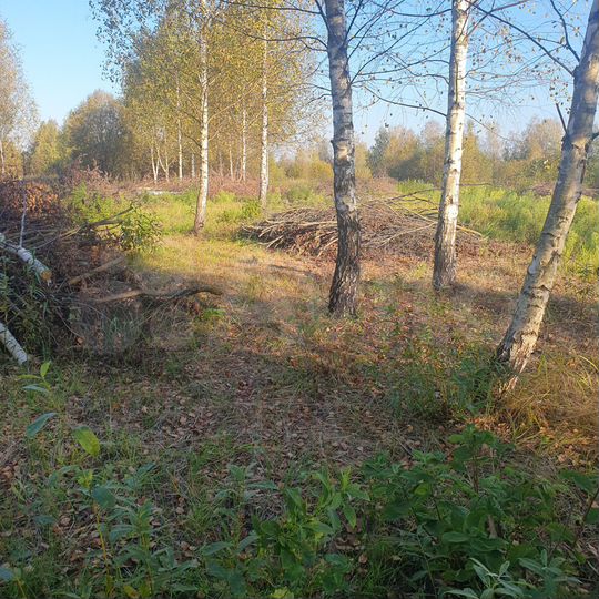 Участок 30 сот. (ИЖС)