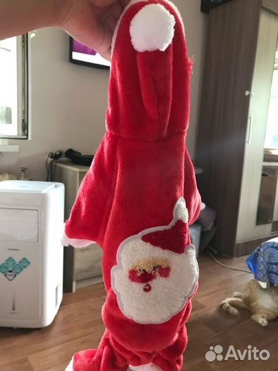 Костюм и ботинки на кошку/маленькую собачку