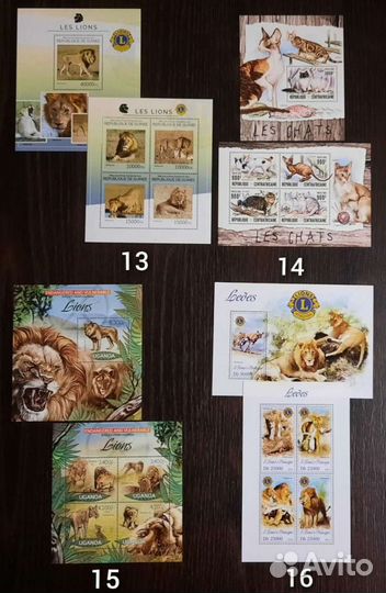Коллекция фауна Кошки 2 (чистые )