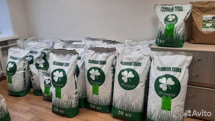 Газонная трава(оригинал) Изумруд;Беларусь