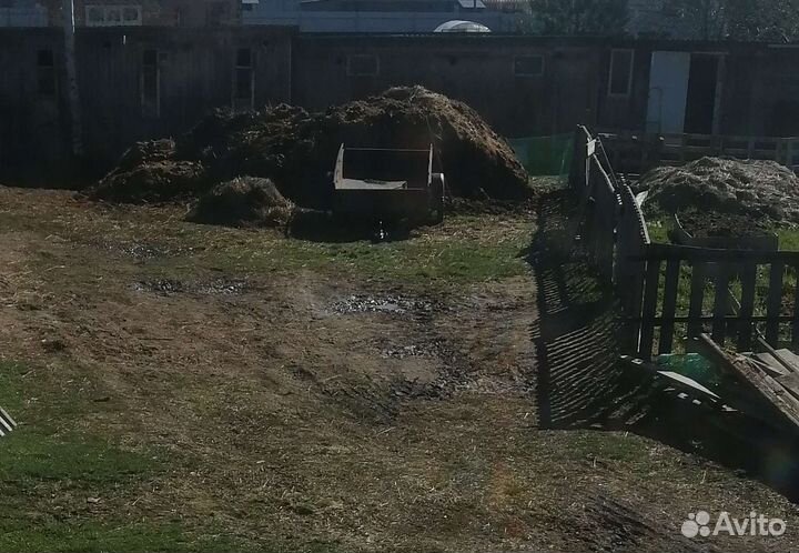 Отдам навоз (коровяк)