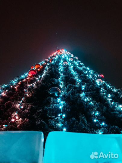 Мобильный видеограф