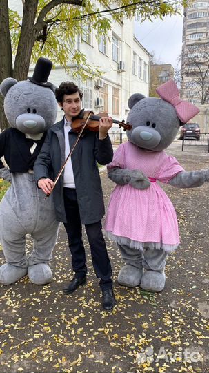 Мишки Тедди