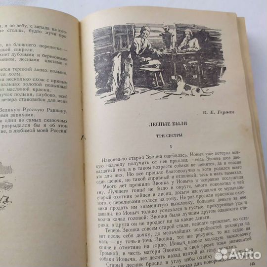 Книга. Охотничьи просторы 1956 г