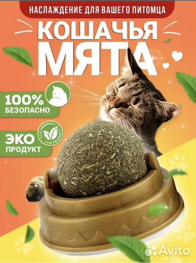 Кошачья мята,мятный шарик