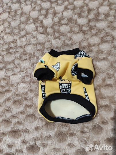 Костюмчик для маленькой собачки