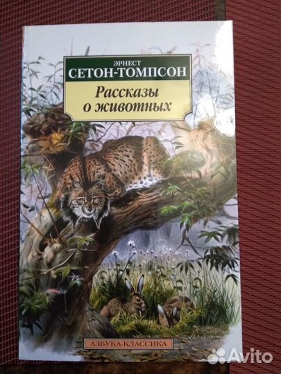 Книги. Разное