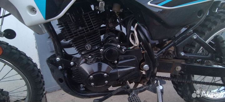 Racer Panther 250
