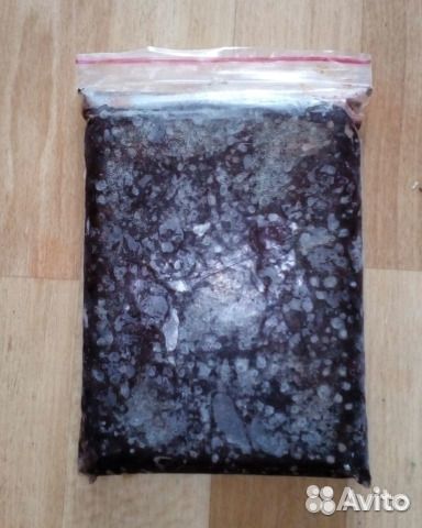 Замороженные корма для аквариумных рыбок