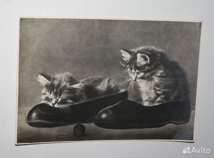 Открытки Котики реклама СССР