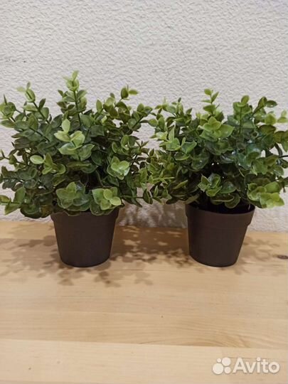 Искусственные цветы от Икеа Fejka 2 шт