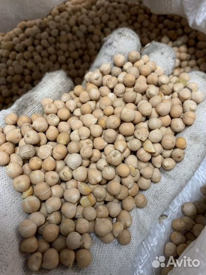 Горох, нут в мешках