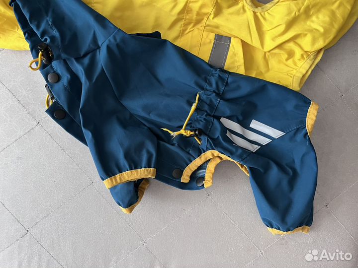 Одежда для маленькой собаки