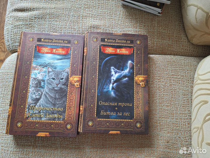 Коты воители