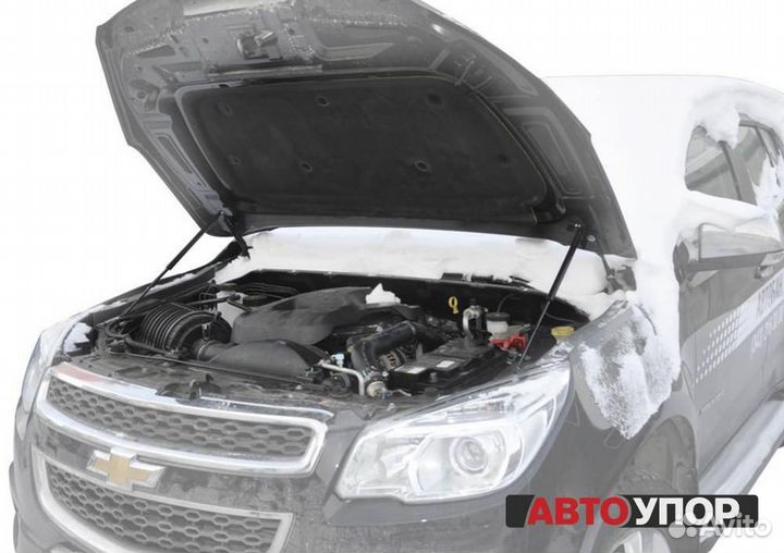 Газовые Упоры Капота Chevrolet Trailblazer 2 2012