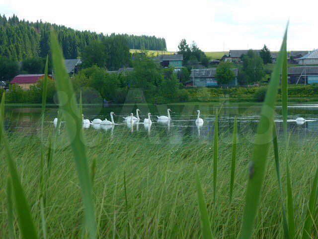 Коттедж 130 м² на участке 27 сот.