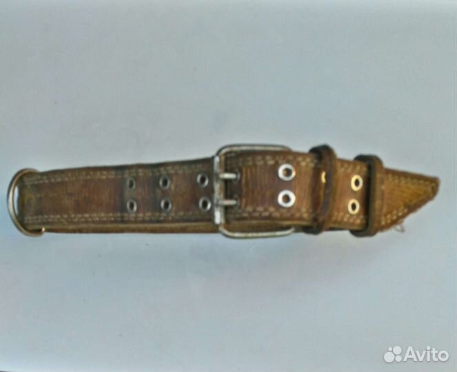 Ошейник для собак