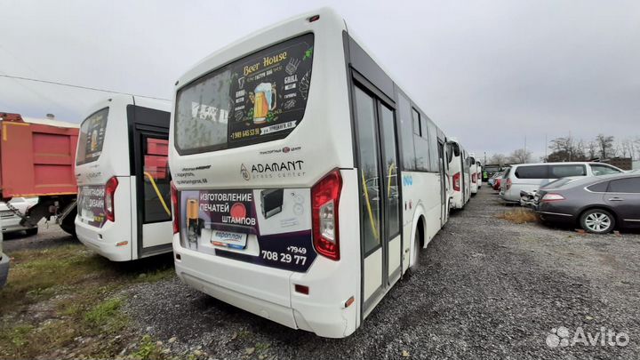 Городской автобус ПАЗ Вектор Next, 2023