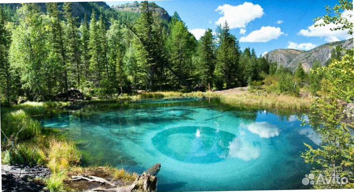 Тур путевка на Алтай летом экскурсия до 8 дн