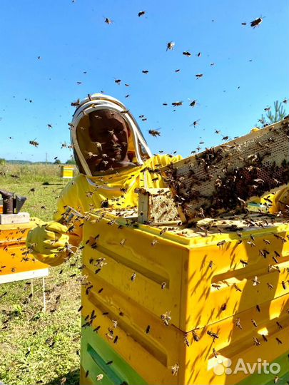 Инвестируйте в продукты питания от 50 годовых