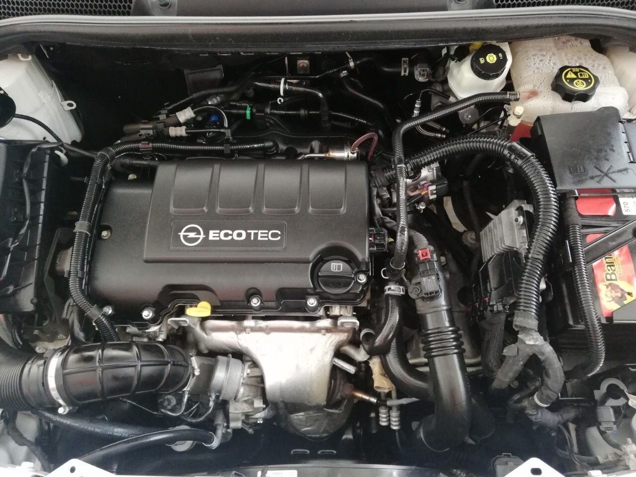Opel Astra GTC: фото владельца