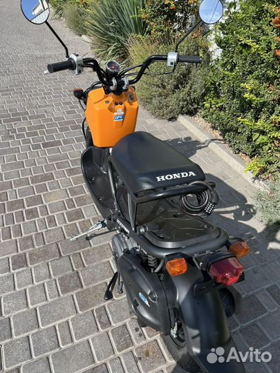 Honda zoomer инжектор