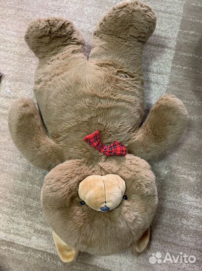 Медведь очень большой и красивый, новый