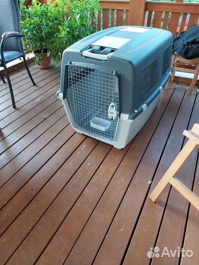 Контейнер для перевозки крупного животного