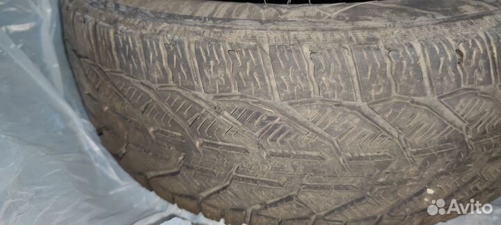 Tigar Winter 195/55 R16