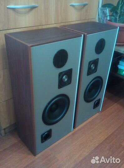 Акустические системы Detonator