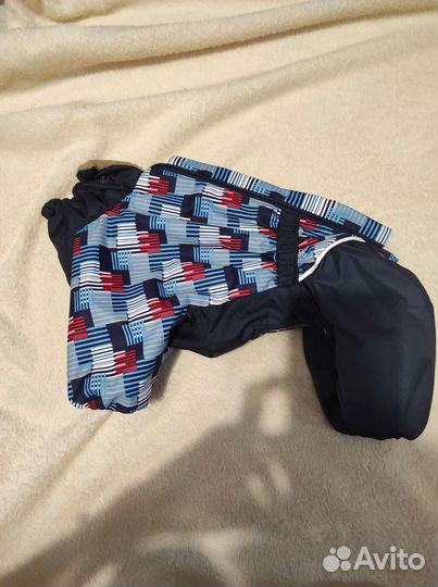 Одежда для собак