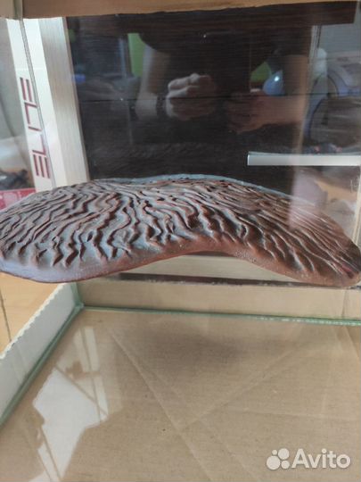 Аквариум для пресноводной черепахи