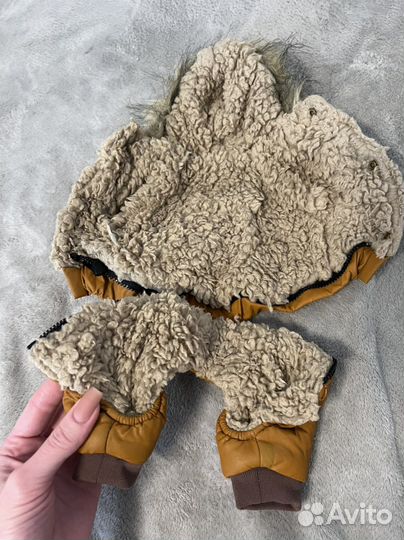 Одежда и обувь для маленьких собак