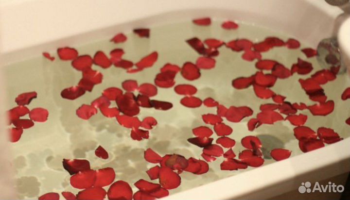 Лепестки красных роз