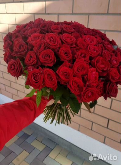 Розы 101 роза