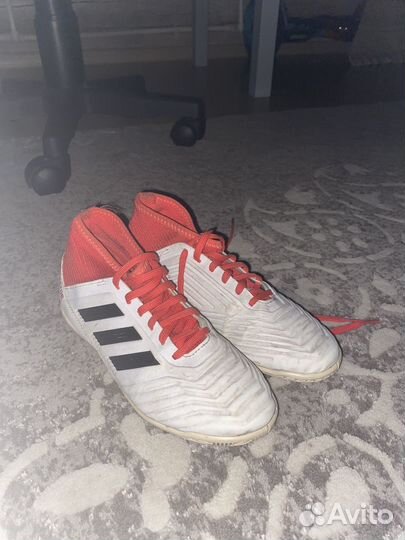 Футзалки adidas predator