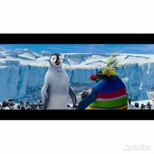 Делай ноги 2 (DVD)