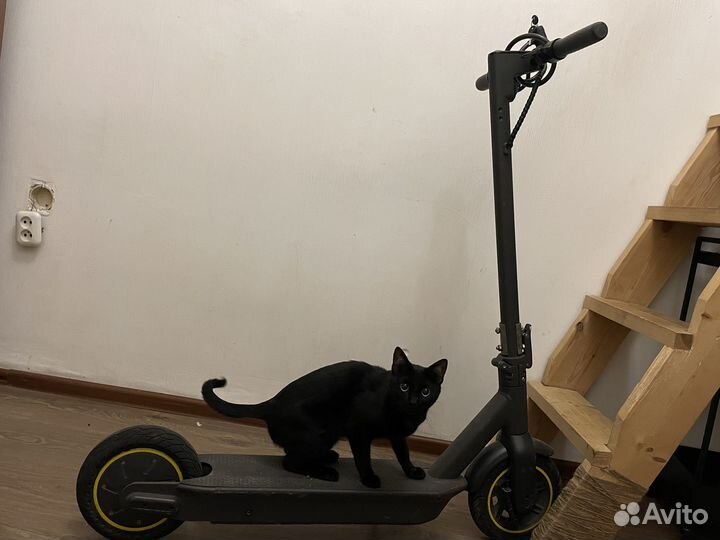Электросамокат бу