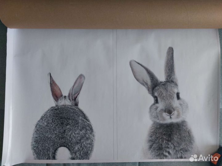 Постеры 30см 40 см