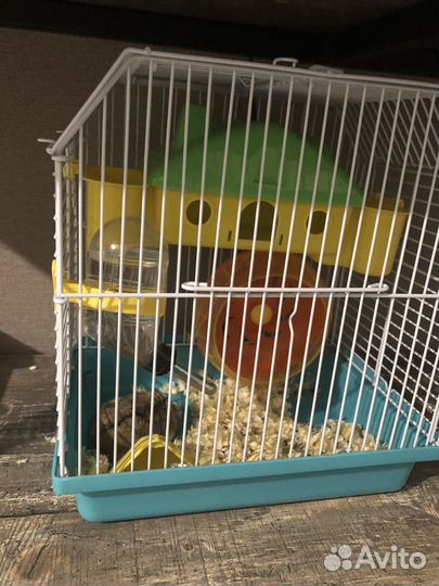 Джунгарский хомяк с клеткой