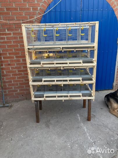 Клетка для перепелок