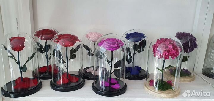 Вечная Роза в колбе красная в ассортименте