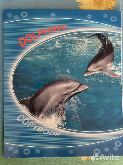 Тетради в клетку пропись блокнот скб банк
