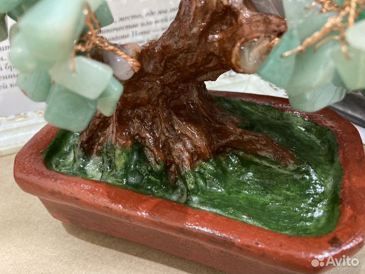 Денежное дерево