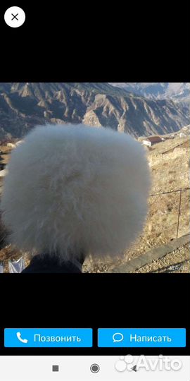 Папаха кавказская