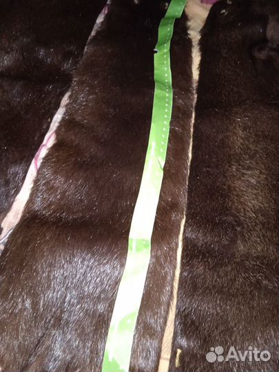 Шкурка хонорика 3шт